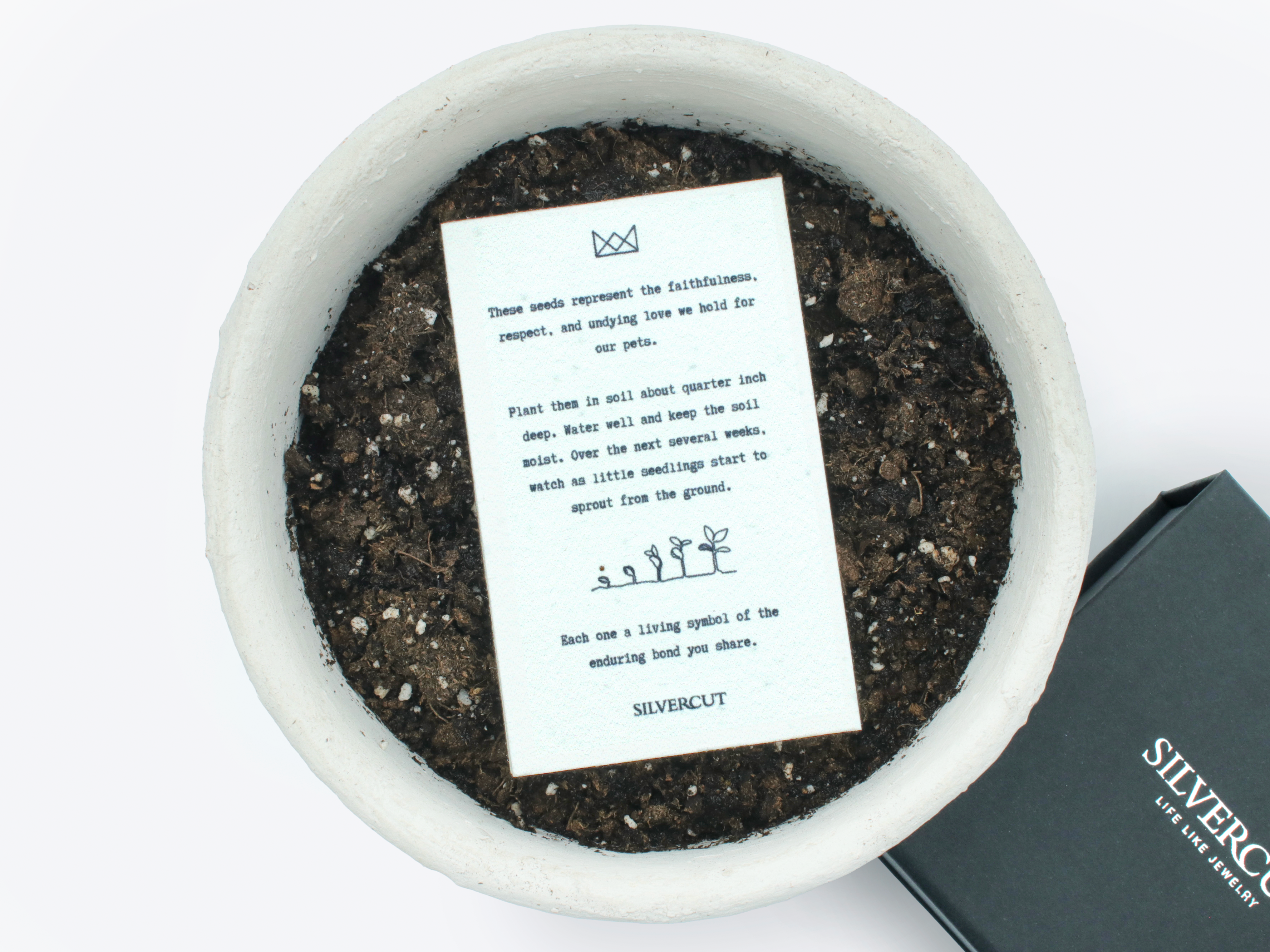 Life-Like Keychain + Seed Paper Bundle