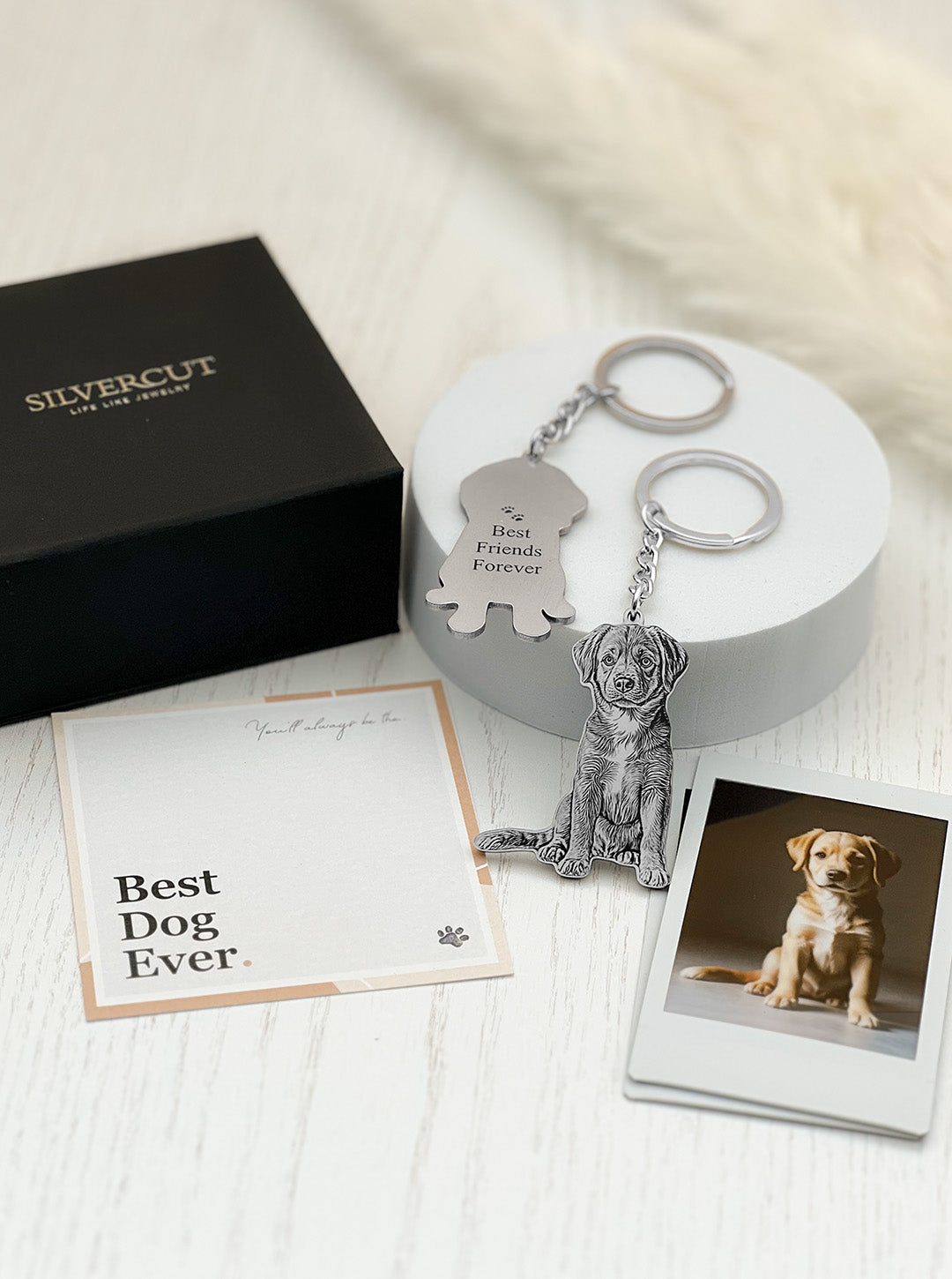 Life-Like Keychain