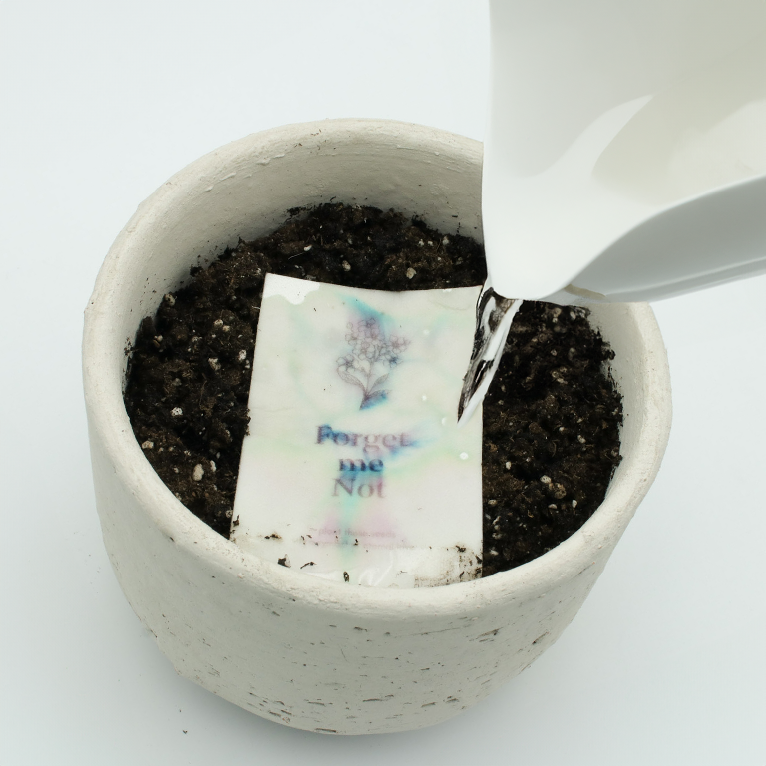 Life-Like Keychain + Seed Paper Bundle