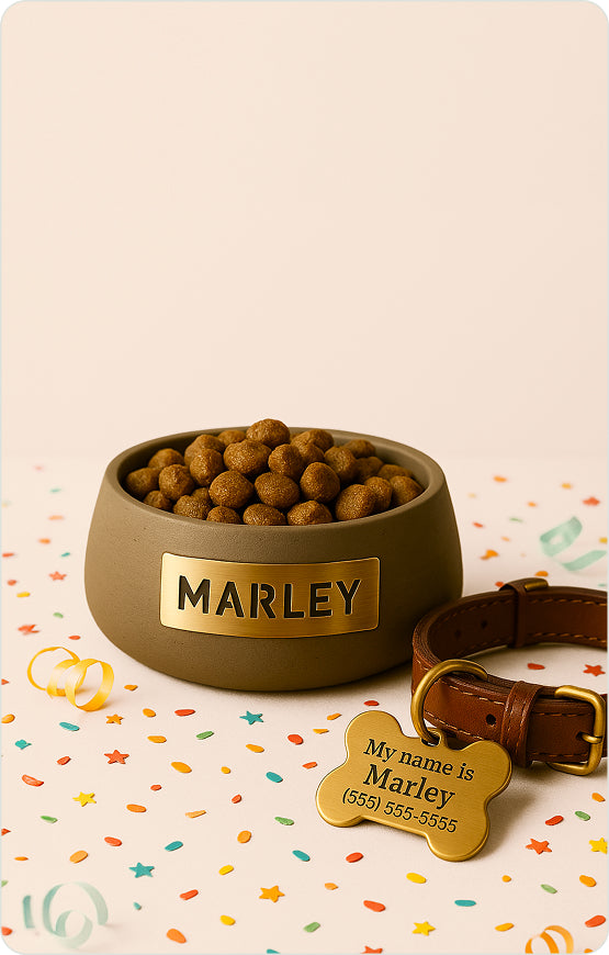 Puppy
Welcome